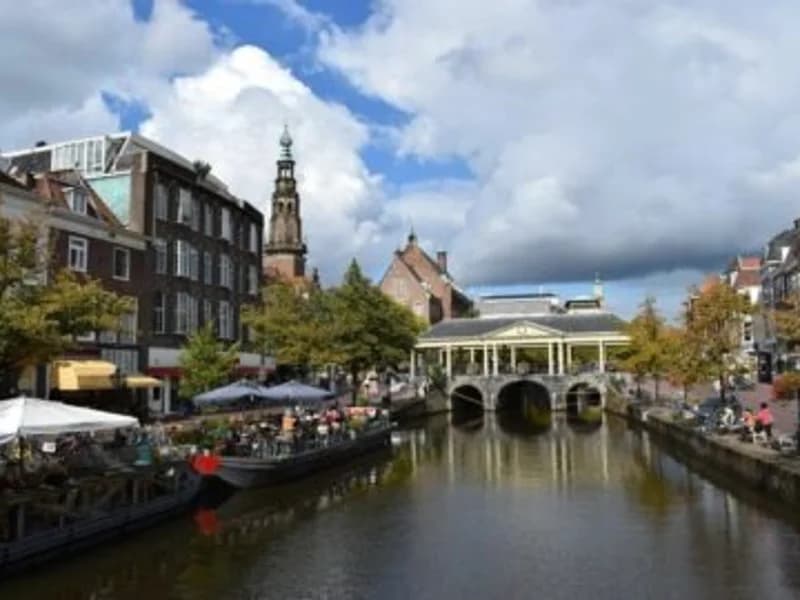 Dakdekker in Leiden | ZoekenInDeBuurt.nl Dakdekker Leiden - Vind dakdekkers in Leiden