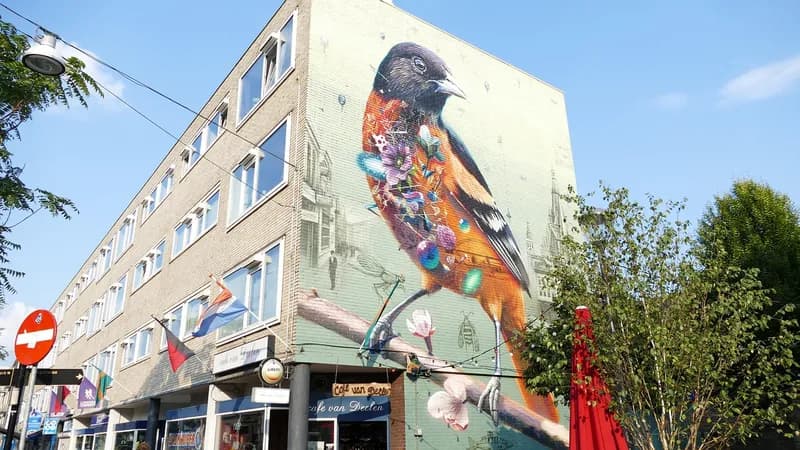 Carport dak in Nijmegen | ZoekenInDeBuurt.nl Carport dak Nijmegen - snel beschikbare dakdekker voor carport dak in Nijmegen