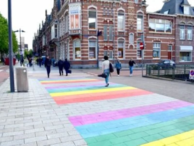 Dakdekker in Den Bosch | ZoekenInDeBuurt.nl Dakdekker Den Bosch - Vind dakdekkers in Den Bosch