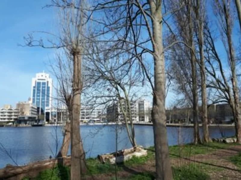 Dakdekker in Zoetermeer | ZoekenInDeBuurt.nl Dakdekker Zoetermeer - Vind dakdekkers in Zoetermeer